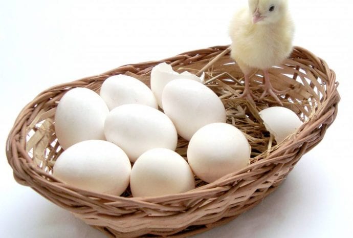 איך לעשות כסף באיביי